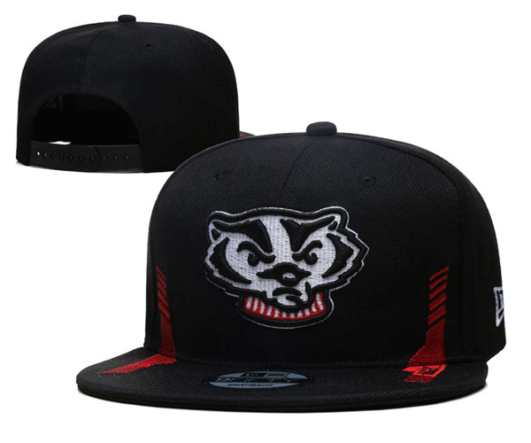 Wisconsin Badgers Stitched Snapback Hats 003